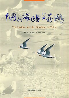中國的海鷗與燕鷗