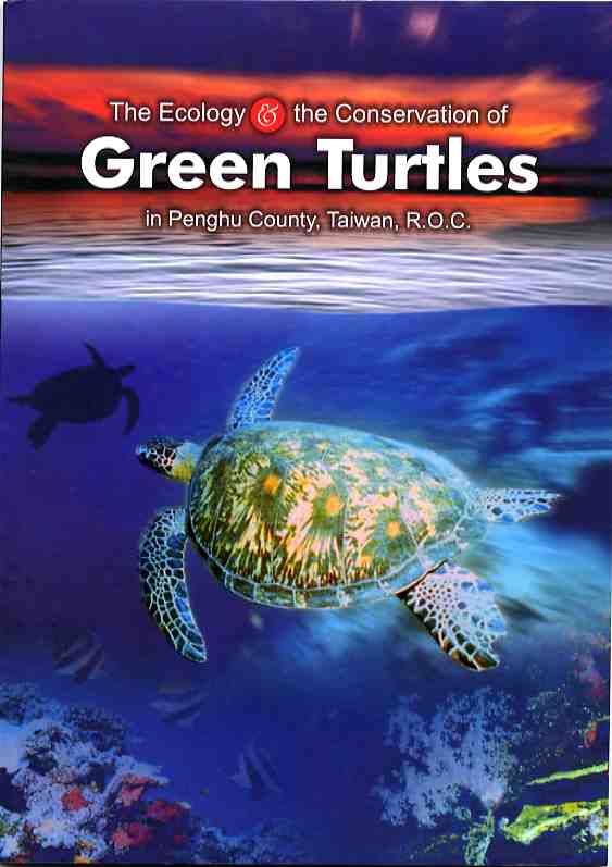 Green Turtles