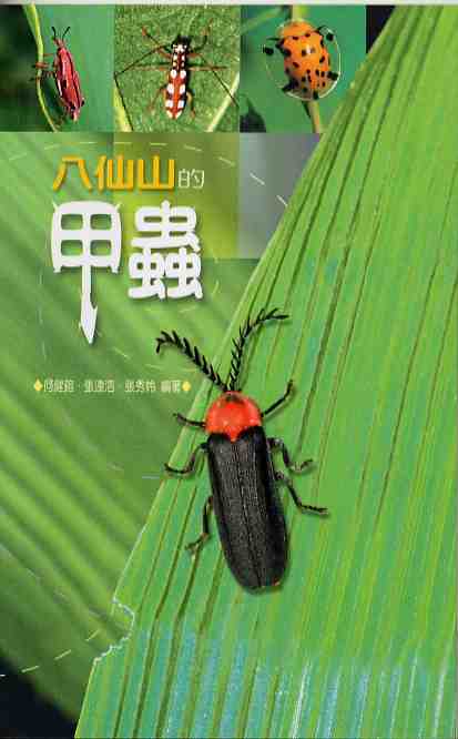 八仙山的甲蟲