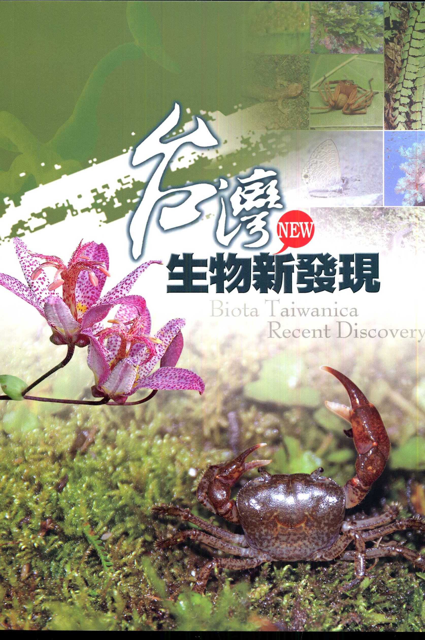 台灣生物新發現
