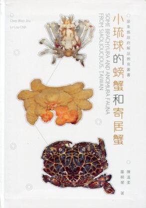 小琉球的螃蟹和寄居蟹