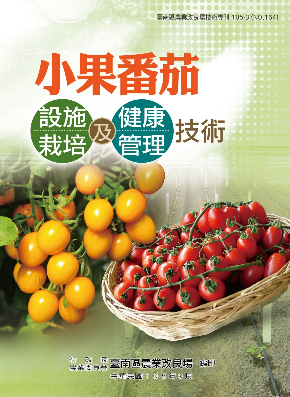 小果番茄設施栽培及健康管理技術