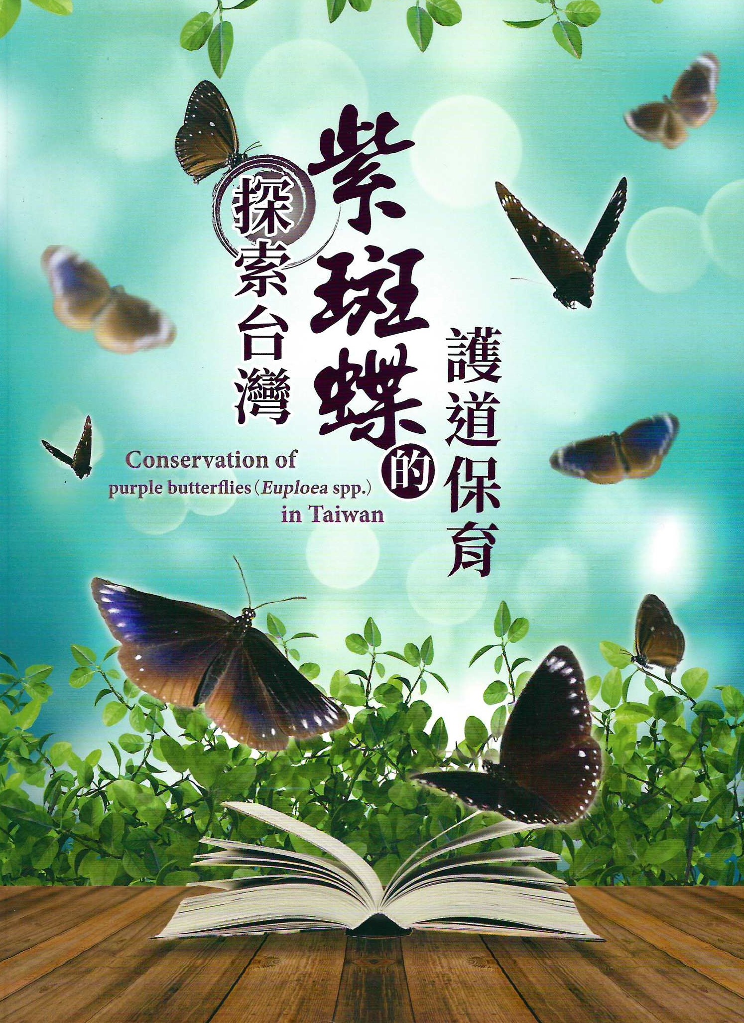 探索台灣紫斑蝶的護道保育