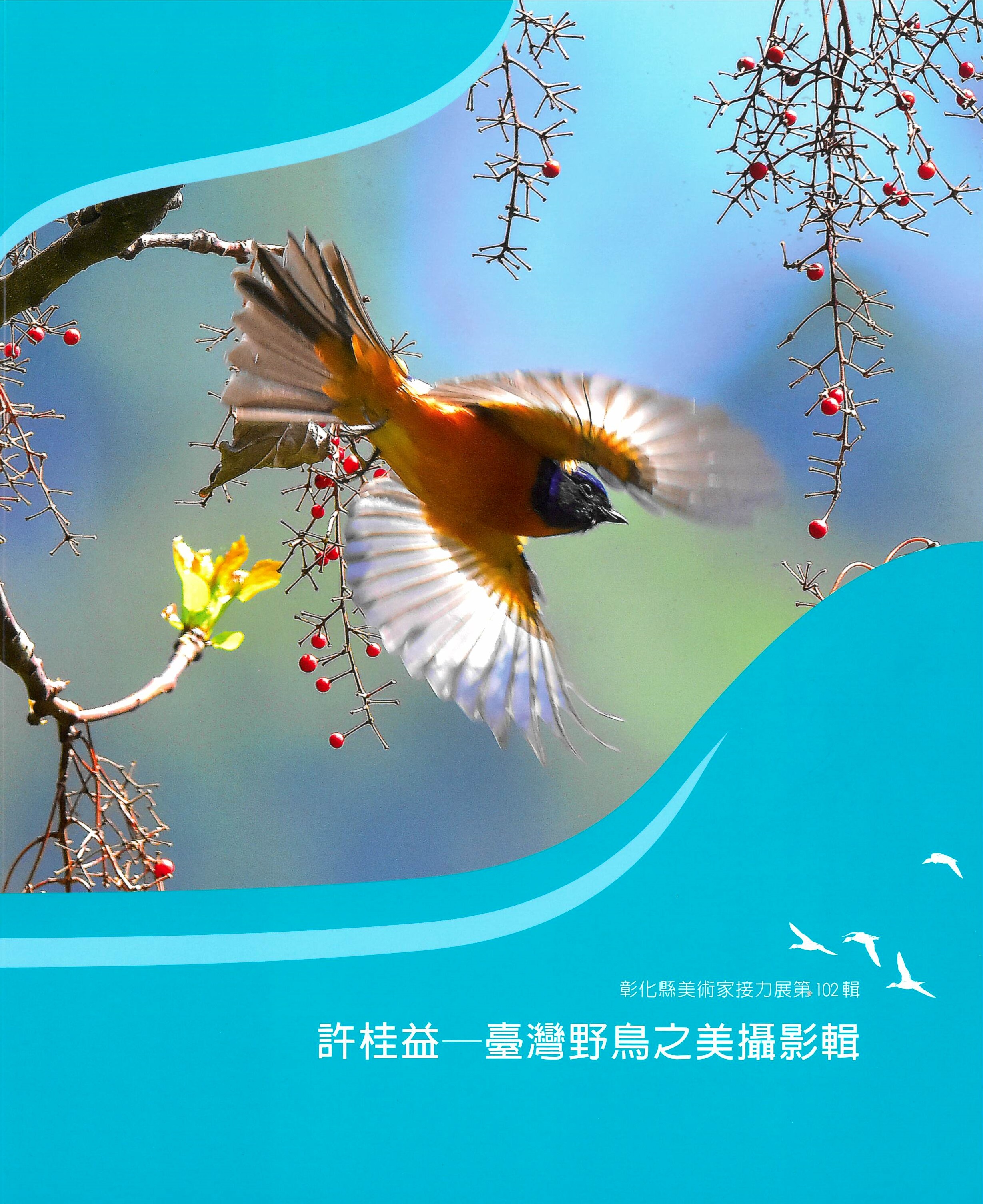 彰化縣美術家接力展第102棒許桂益攝影-臺灣野鳥之美專輯