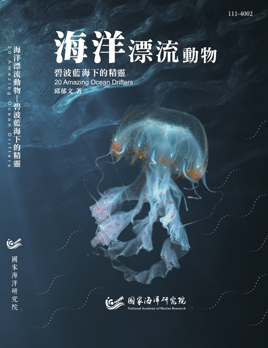 海洋漂流動物–碧波藍海下的精靈