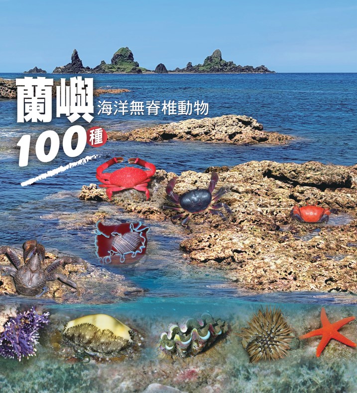 蘭嶼海洋無脊椎動物100種