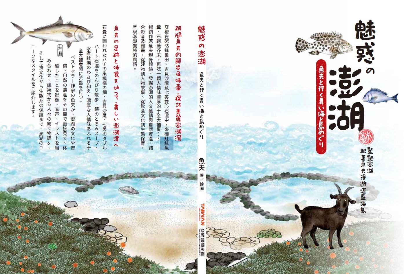 魅惑の澎湖跟著魚夫漫遊湛藍海島 | 驚豔澎湖：跟著魚夫漫遊湛藍海島