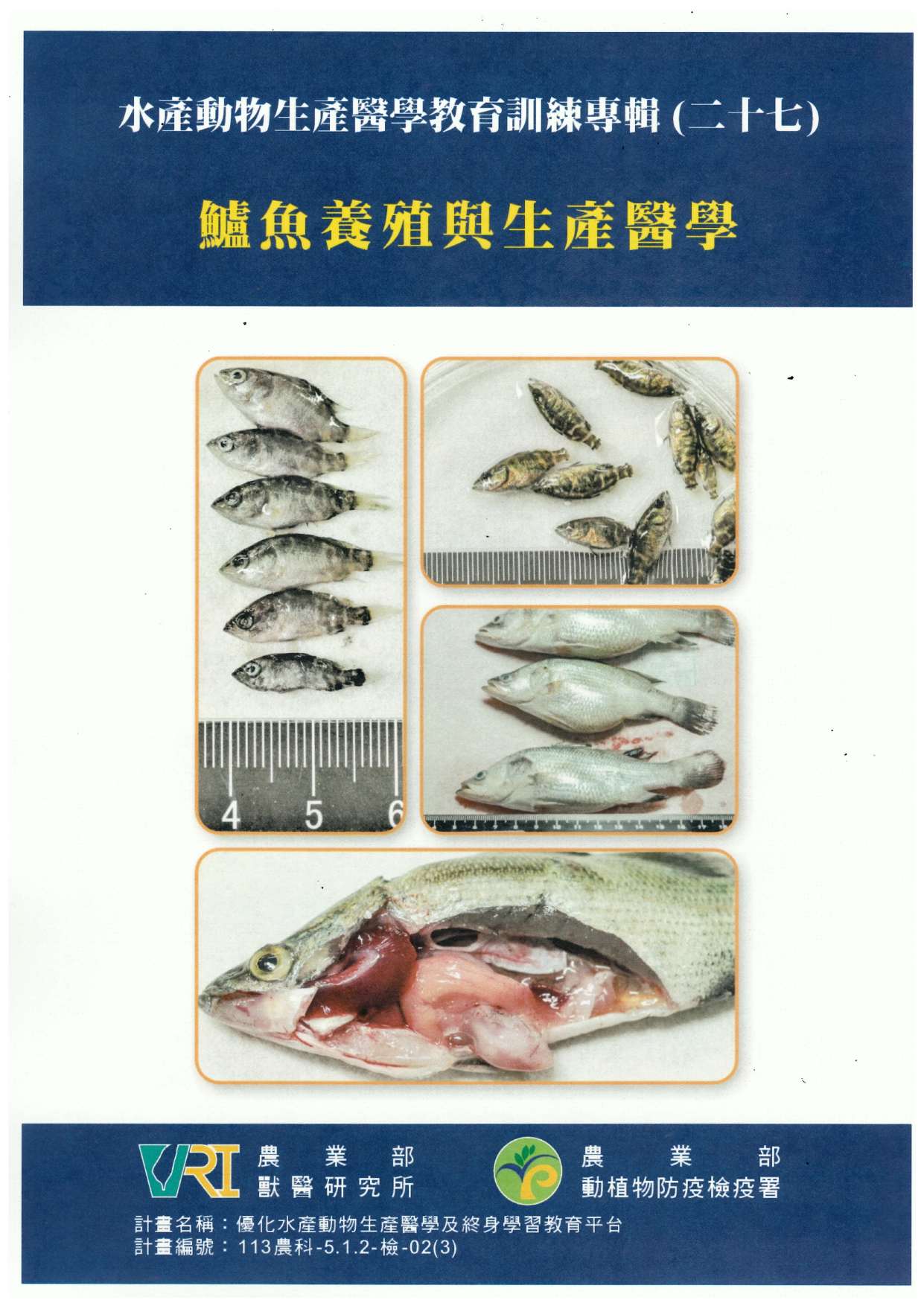 水產動物生產醫學教育訓練專輯(二十七)鱸魚養殖與生產醫學