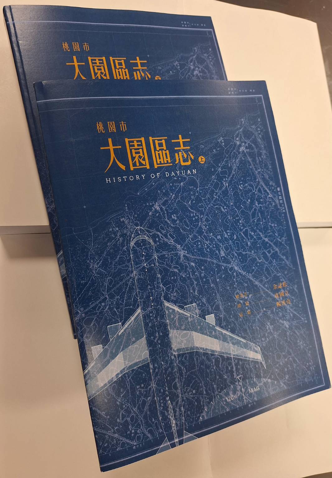 桃園市大園區志