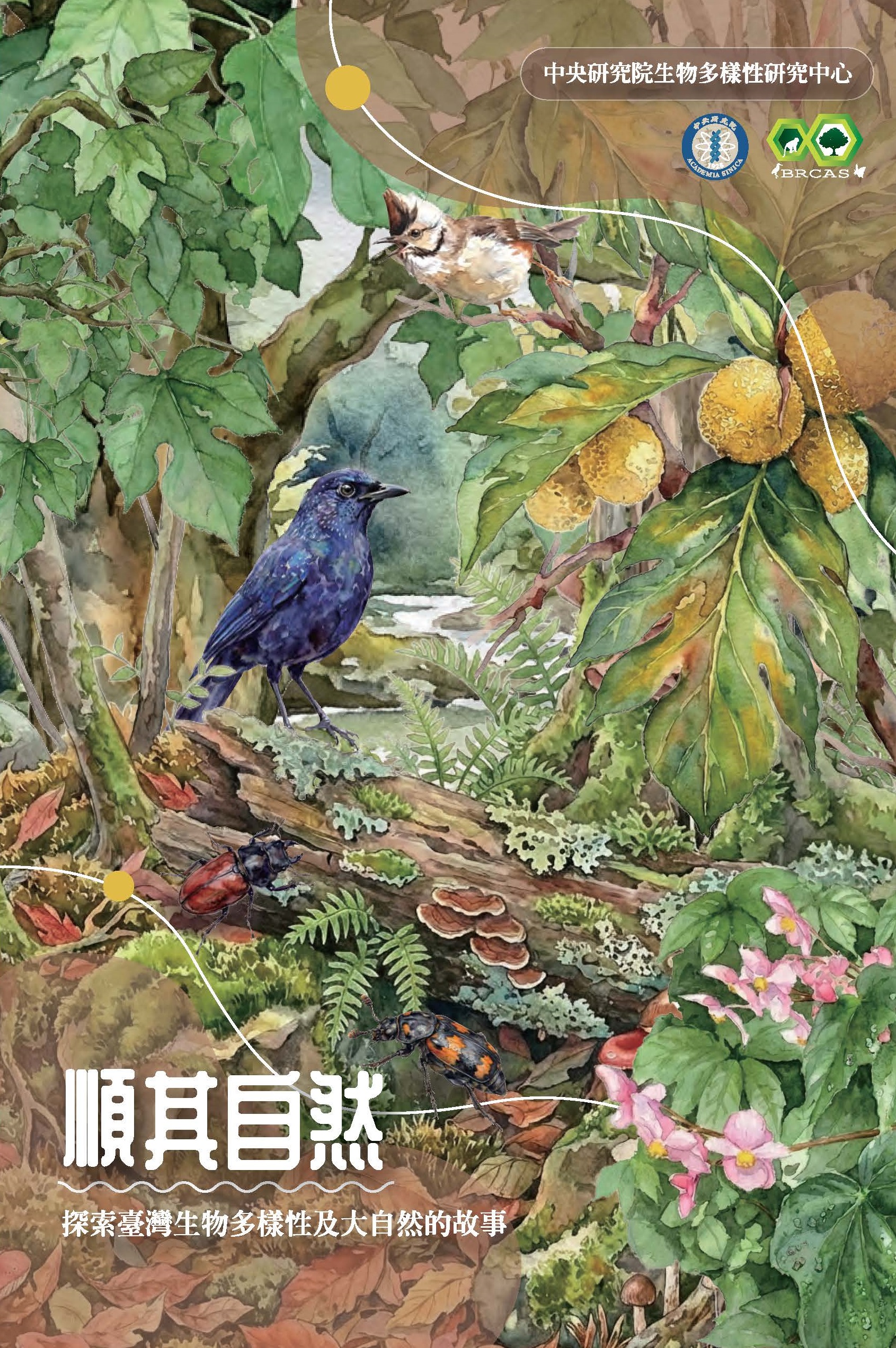 順其自然