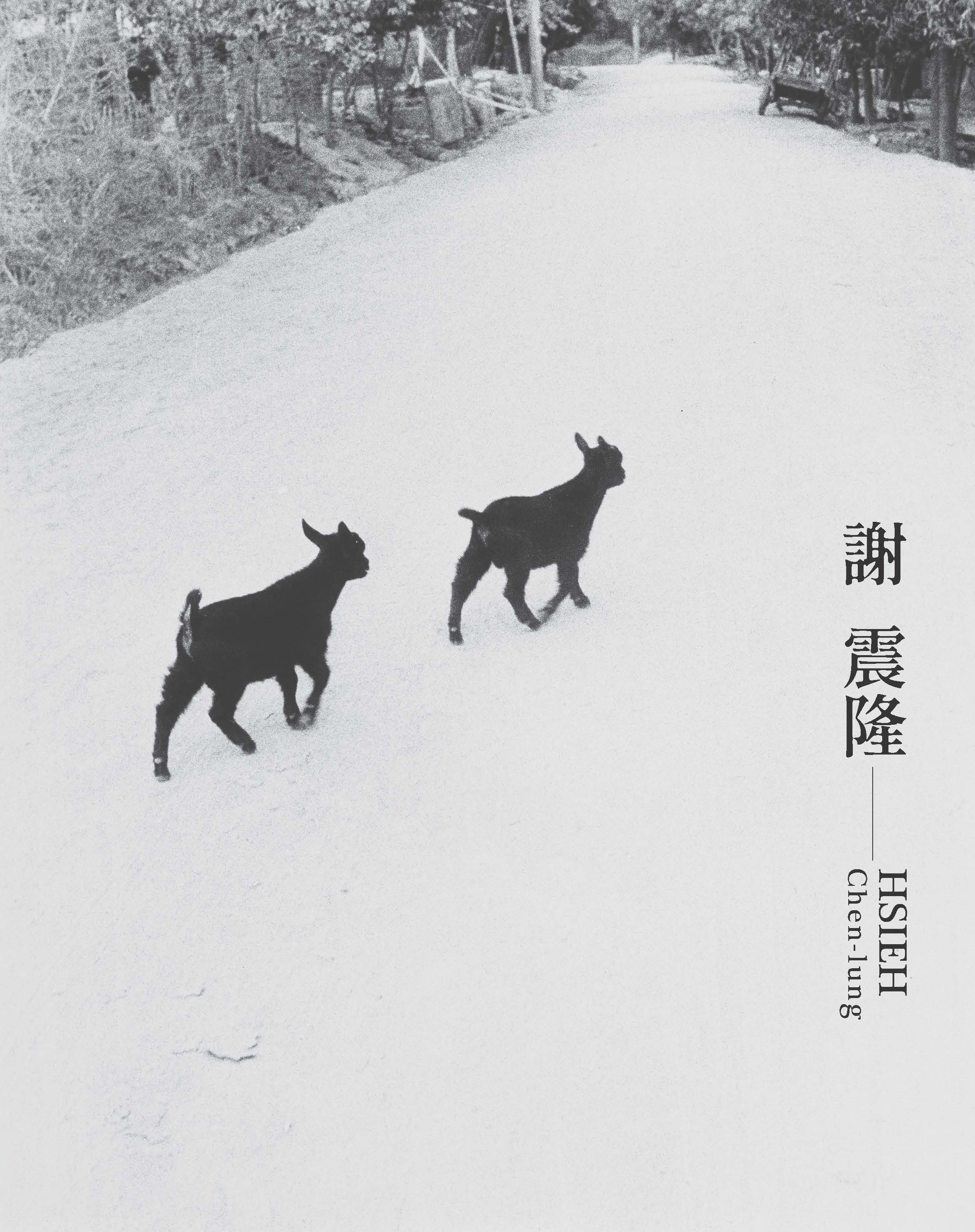 臺灣攝影家: 謝震隆