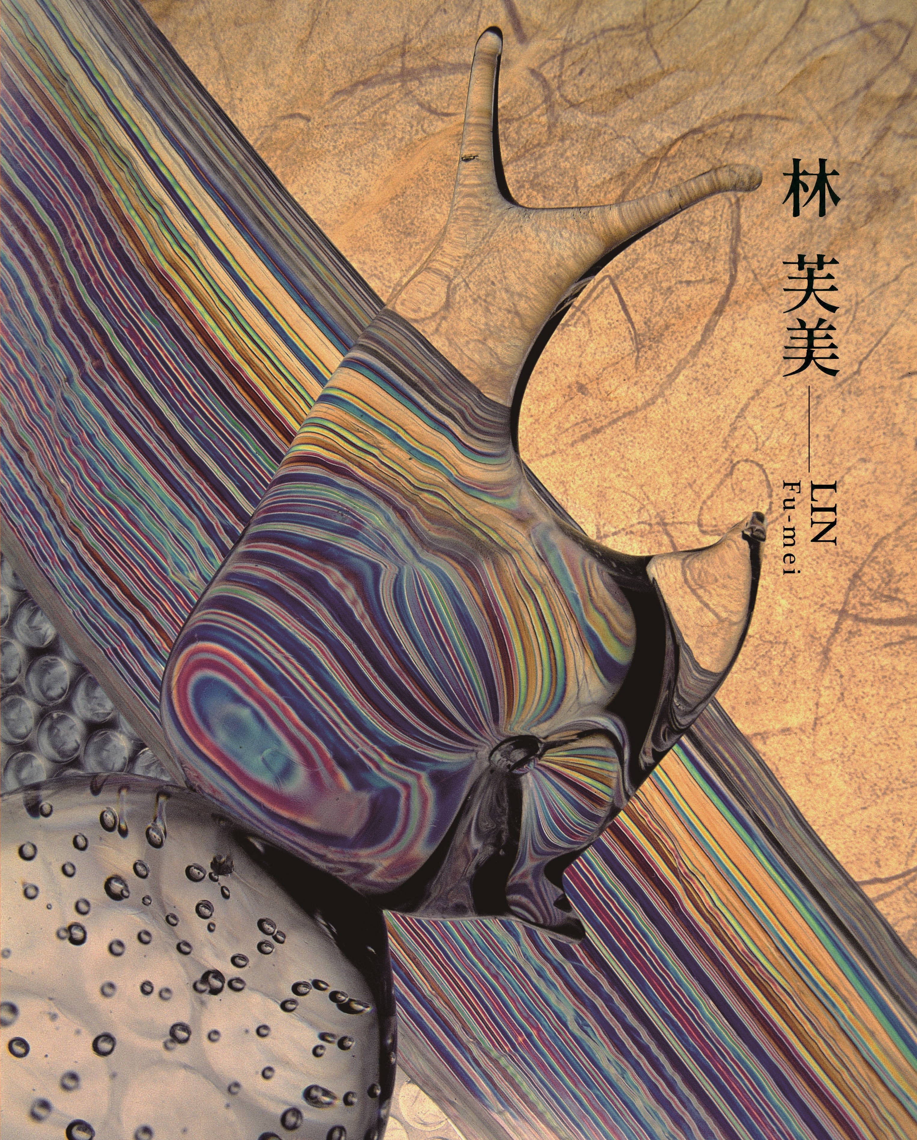 臺灣攝影家: 林芙美