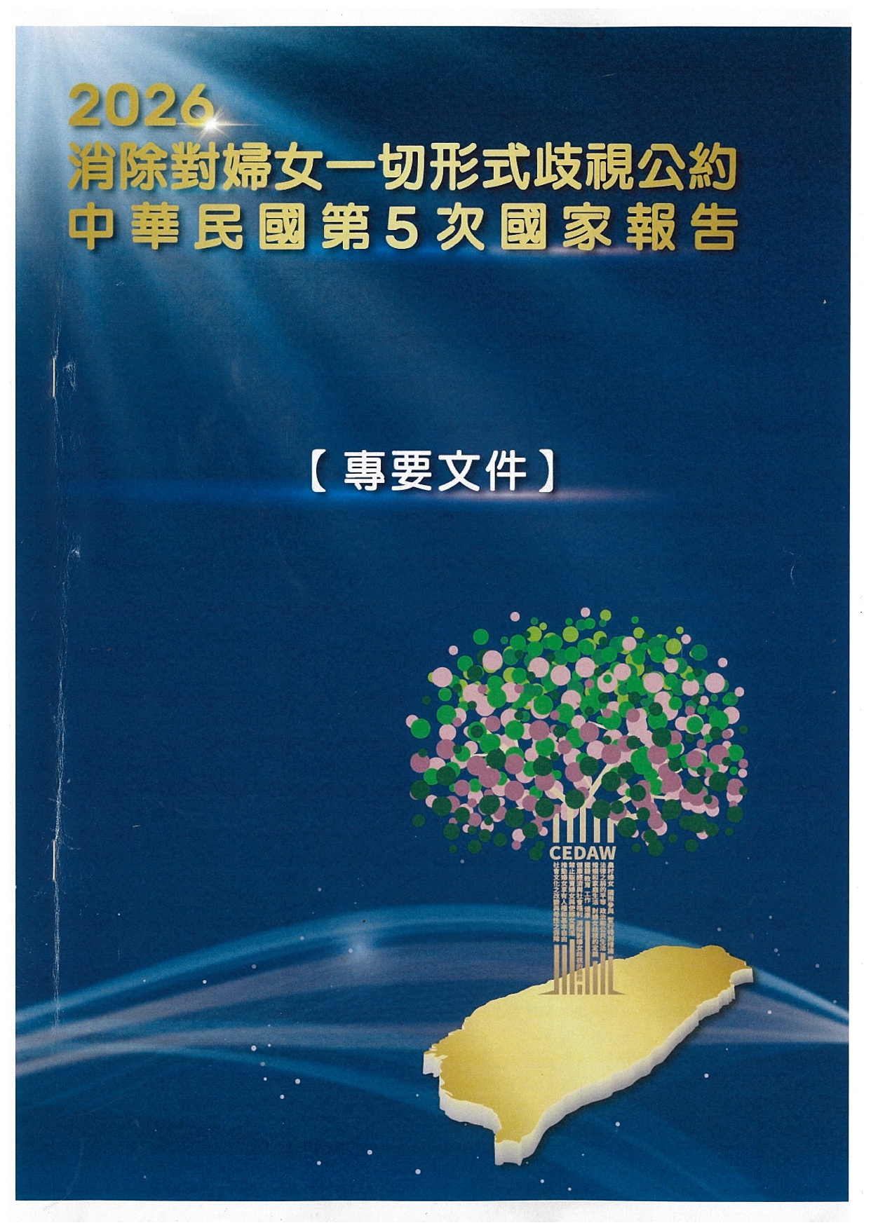 消除對婦女一切形式歧視公約中華民國第5次國家報告專要文件