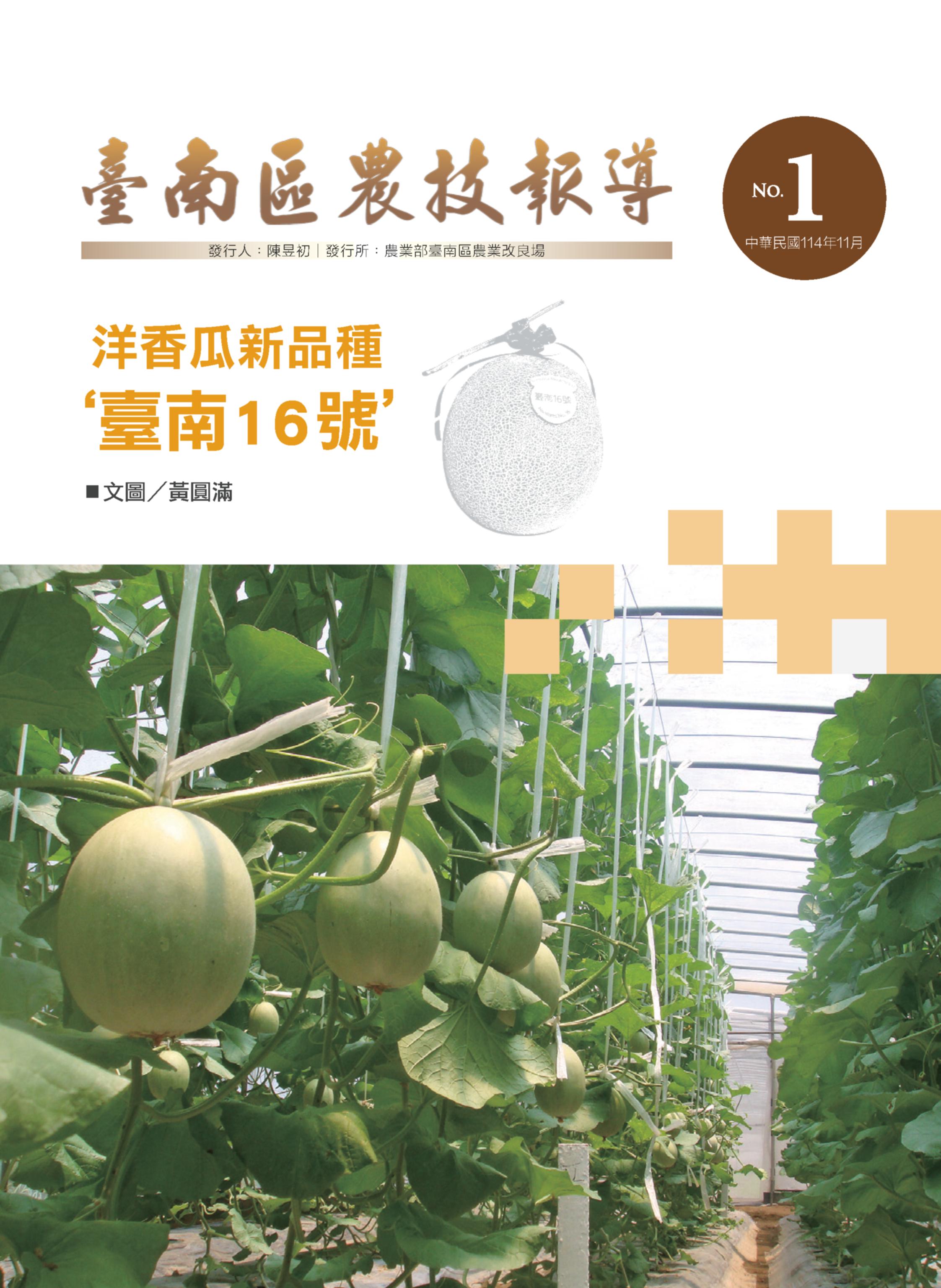 洋香瓜新品種‘臺南16號’