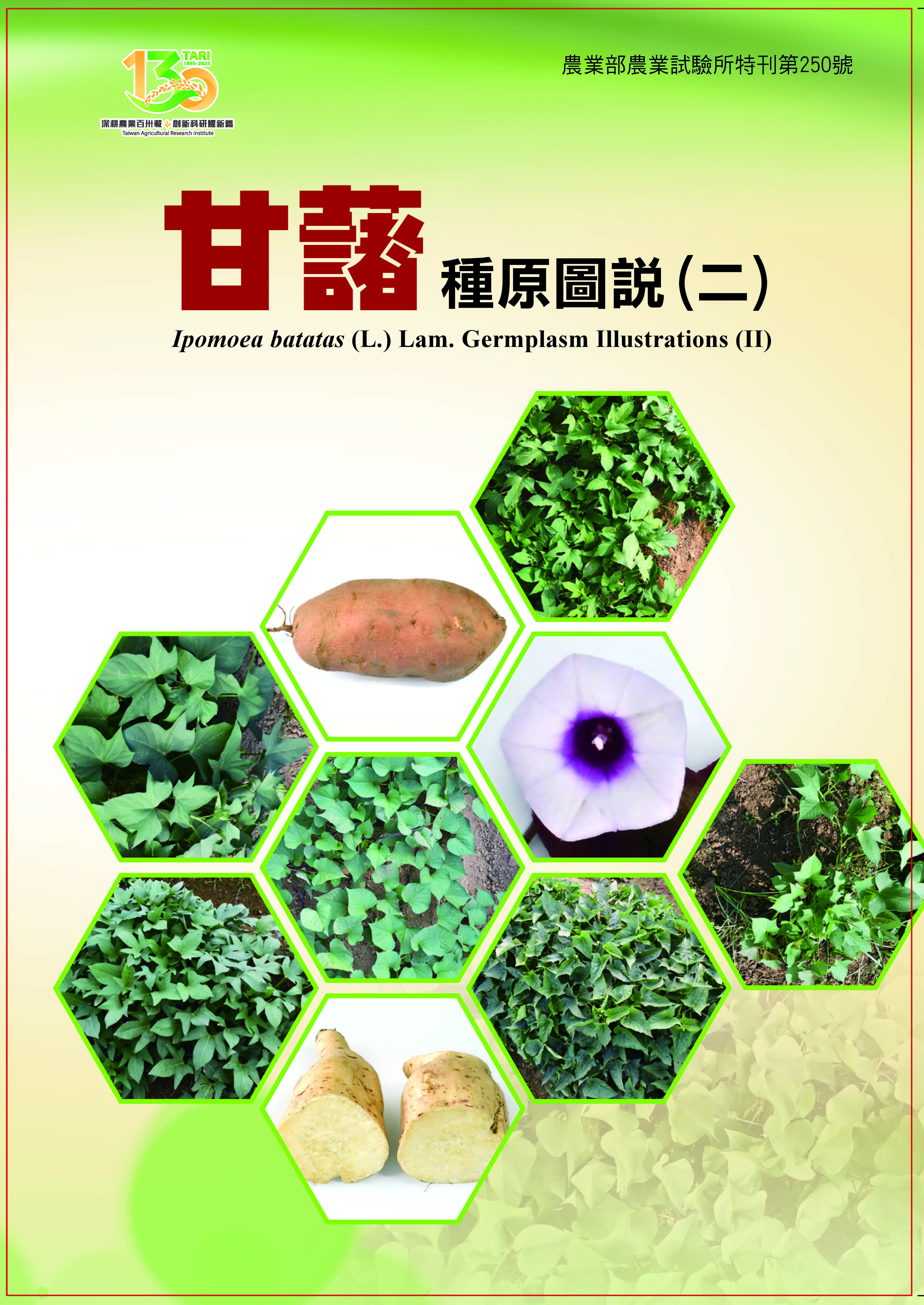 甘藷種原圖說(二)