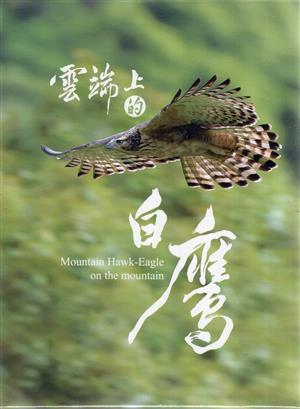 揭秘台灣瀕危熊鷹的生命奇蹟──《雲端上的白鷹》