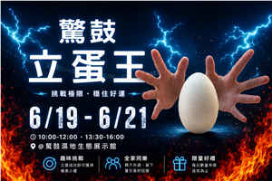立起一顆蛋，也認識一座濕地｜2026鰲鼓立蛋王