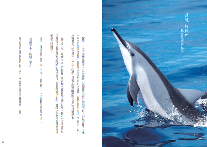 《鯨豚．海洋．漁人》內頁之一