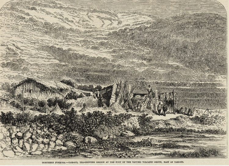 1870年，美國商人愛德華‧格里（Edward Greey）所拍攝之大屯山地區茶園，後由人工重新繪製後出版（陳志豪提供）