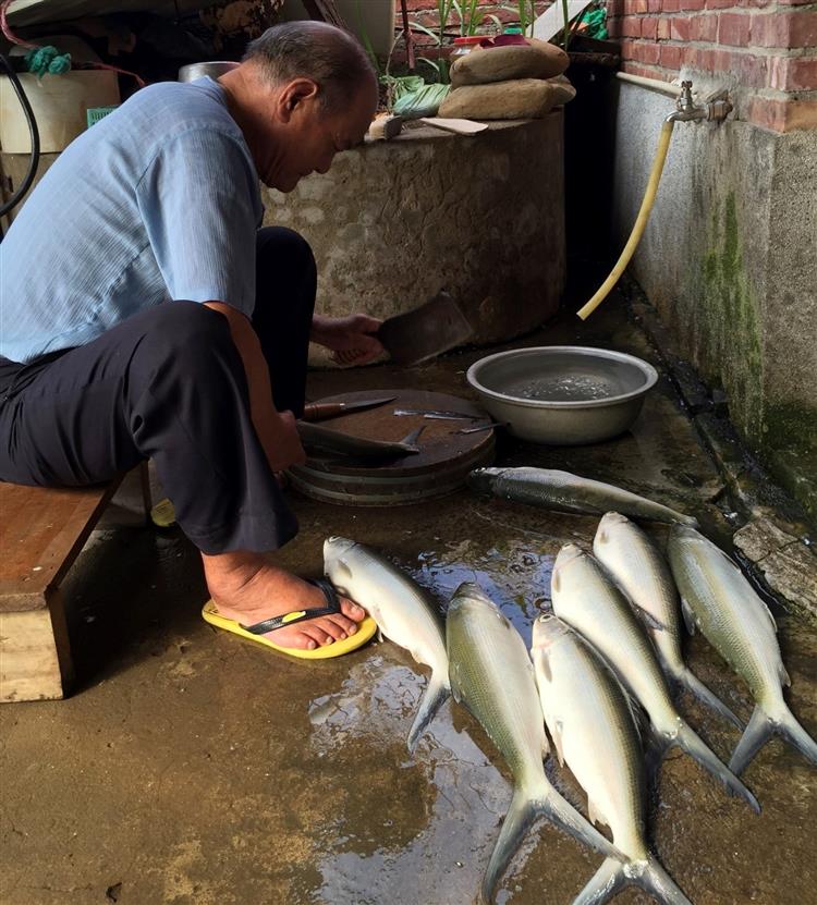 台江居民熟練地料理魚肉。（吳比娜／提供）